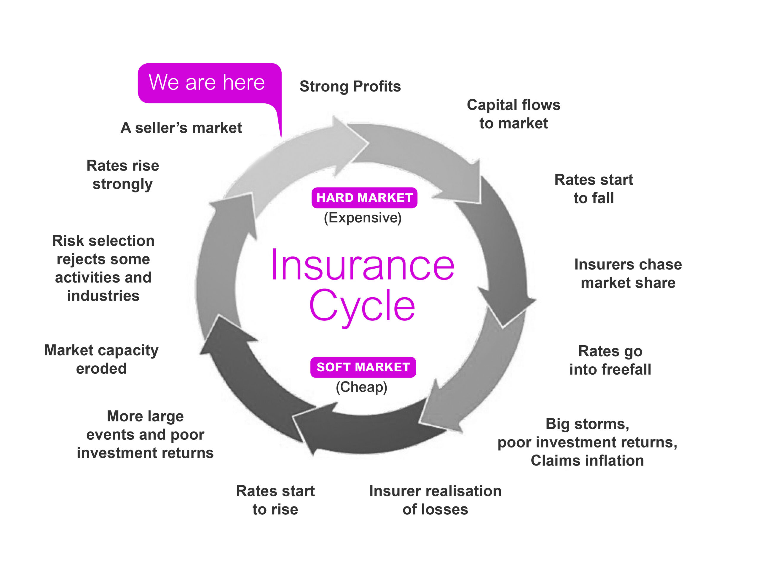 Insurance Cycle Graphic