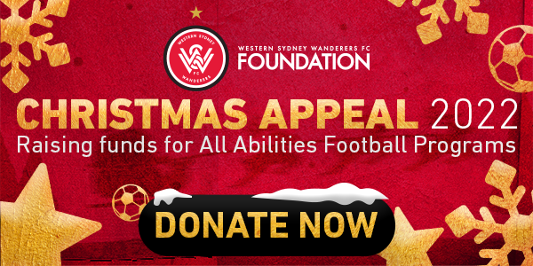 WSW_Xmas_Appeal_600x300