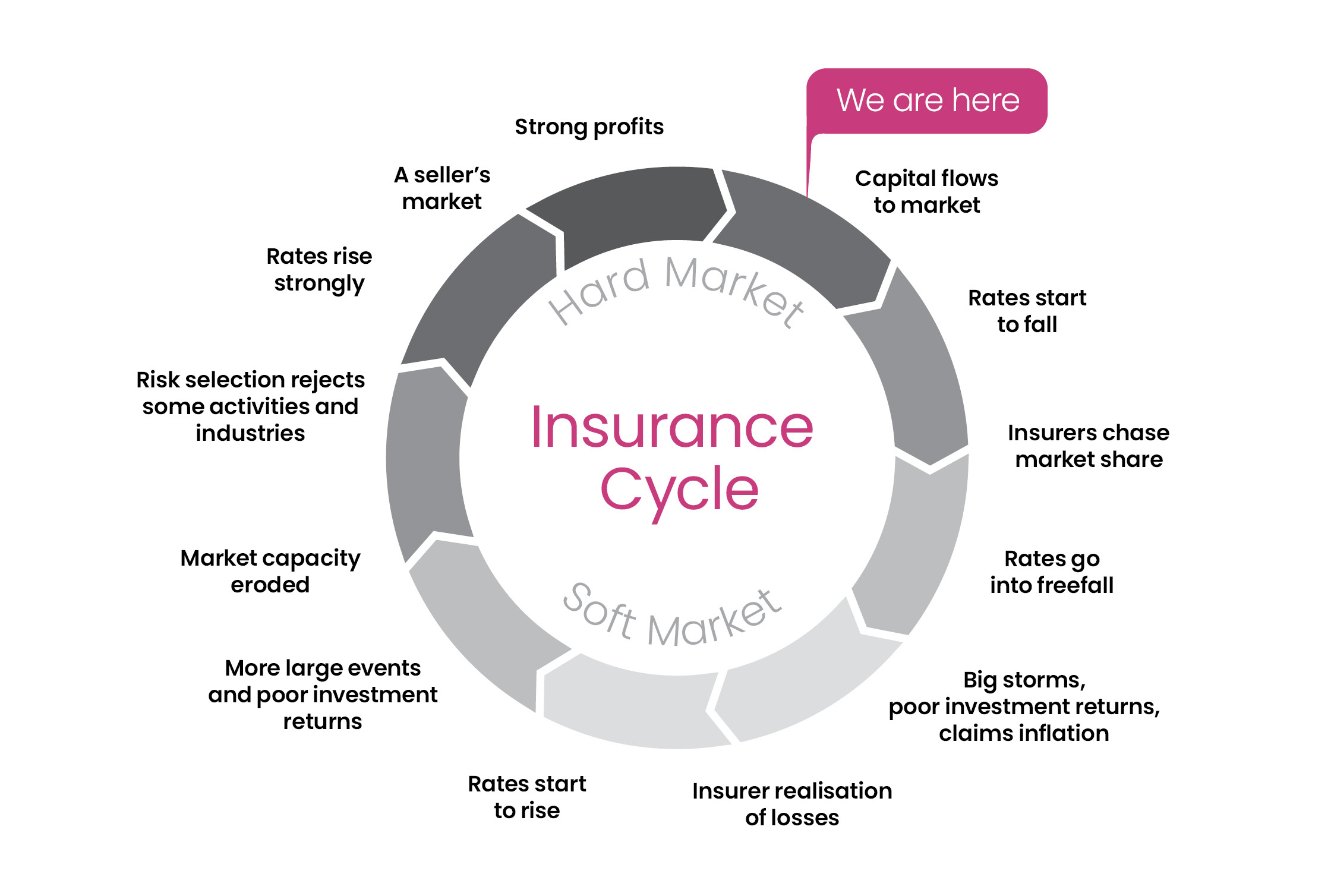 July 2023 Market Update Insurance Cycle